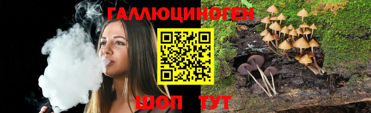 Псилоцибиновые грибы Psilocybe  Псилоцибиновые грибы мухоморы  Ноябрьск  Вход с VPN 